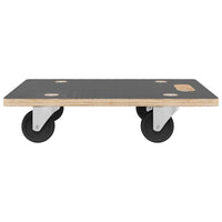 vidaXL Carrinhos de transporte 2 pcs retangular 50x35x11,5 cm 250 kg