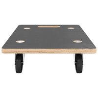 vidaXL Carrinhos de transporte 2 pcs retangular 50x35x11,5 cm 250 kg