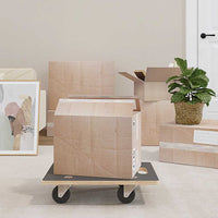 vidaXL Carrinhos de transporte 2 pcs retangular 50x35x11,5 cm 250 kg