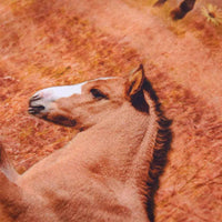 Vestido de manga comprida para criança azul-marinho 92