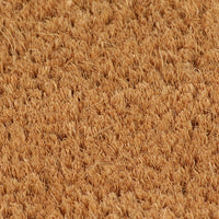 vidaXL Tapete de porta semicircular 50x80 cm fibra coco tufada natural