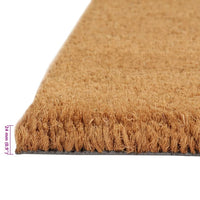vidaXL Tapetes porta 5 pcs 40x60 cm fibra de coco tufada natural