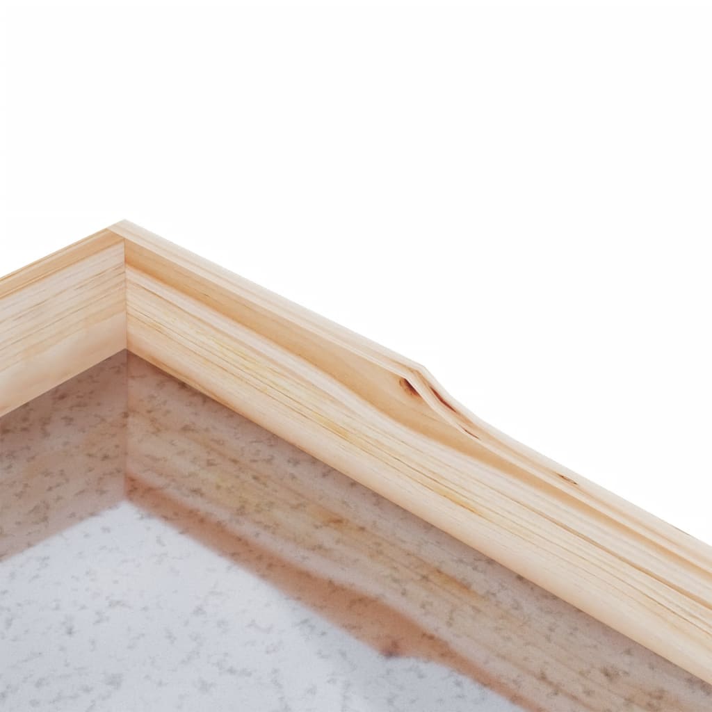 vidaXL Mesa apoio p/ plantas c/ prateleiras 78x38x82,5 cm abeto maciço