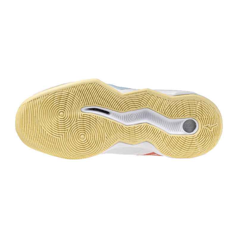 Mizuno Wave Momentum Pro