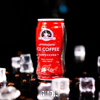 Gourmet Ice Coffee Cappuccino 240ml