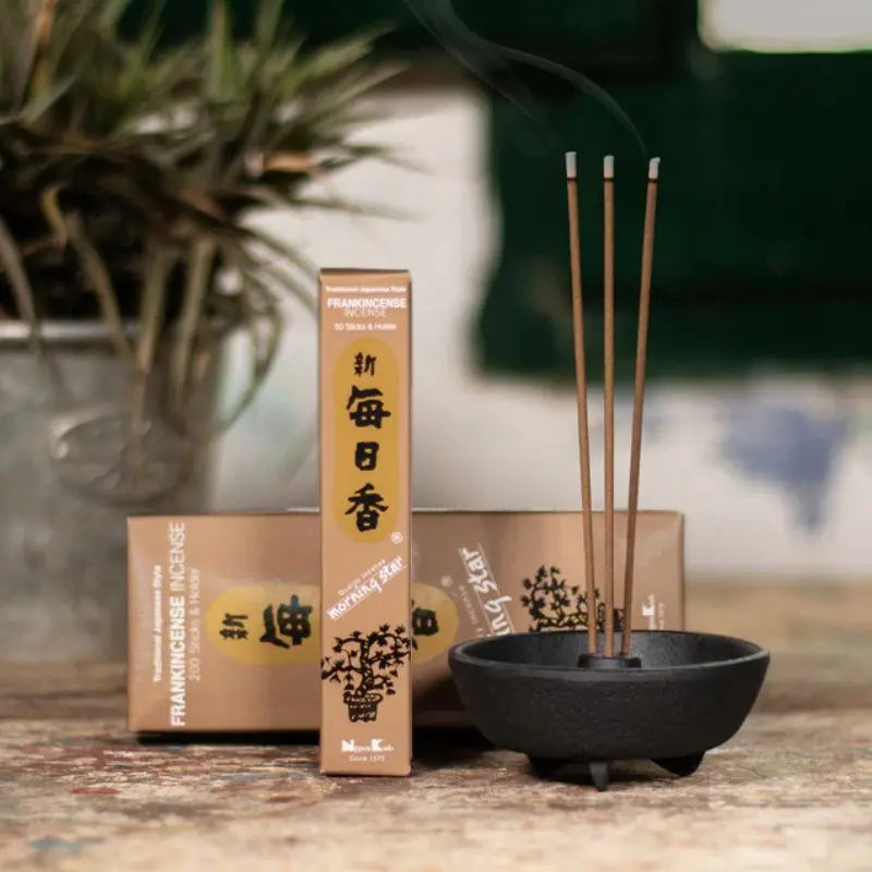 Incenso japonês Morning Star - Frankincense