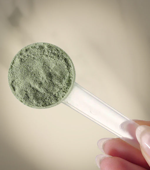 Super Greens - Herboxa - 300g