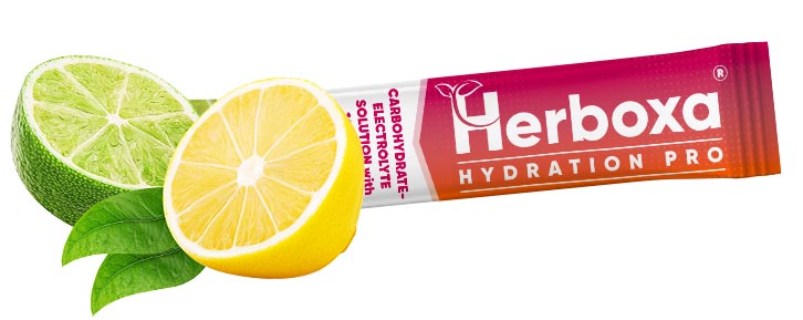 Hydration Pro – Herboxa – 24 saquetas (7g)