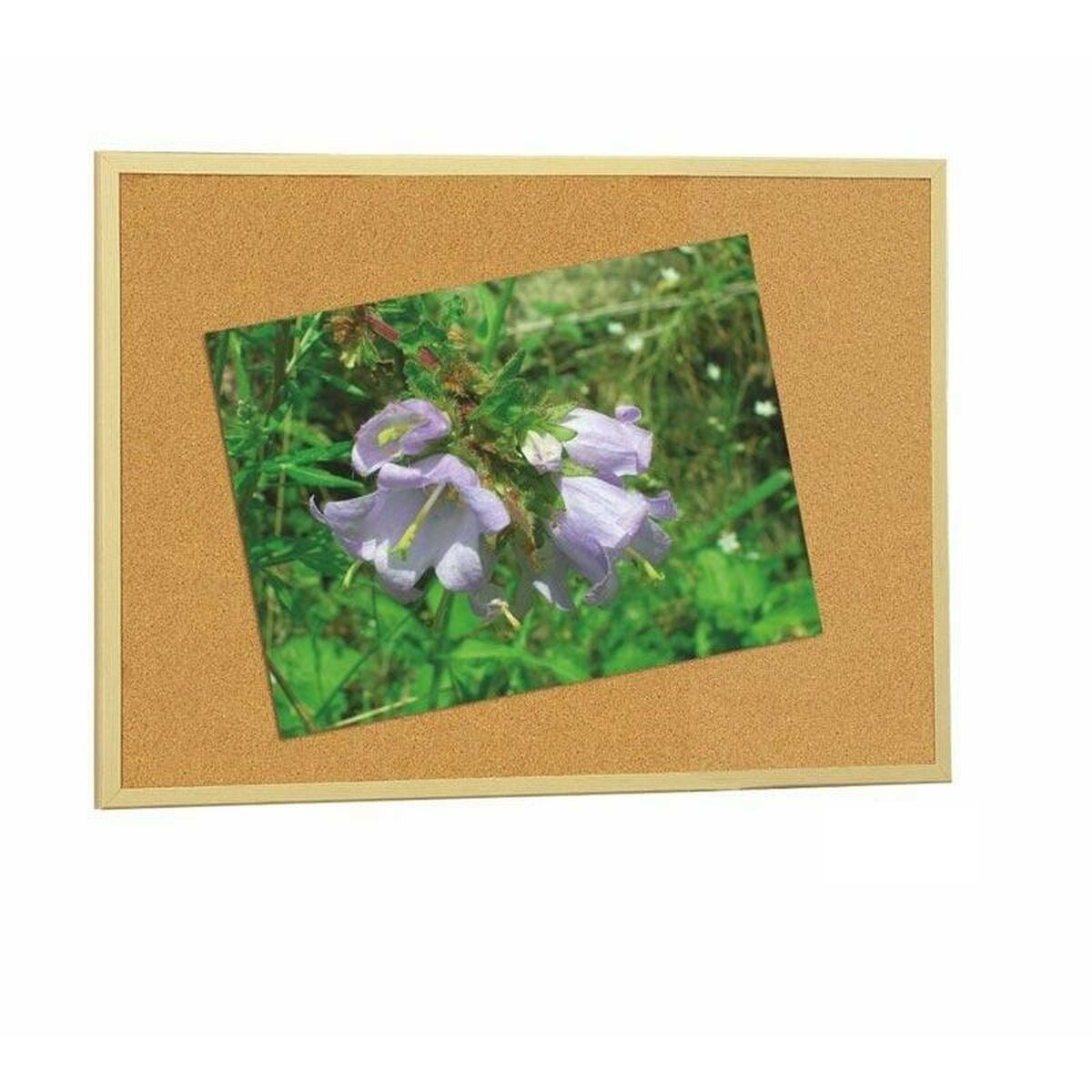 V7HC70F82C63D43B3EDF4C911BFF0CCCF21R2383935P1