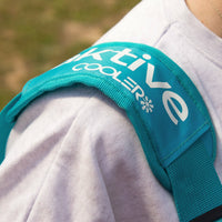 V4H4942ECEDEA7CBA6370CCA88002CFF6AFR5649125P6