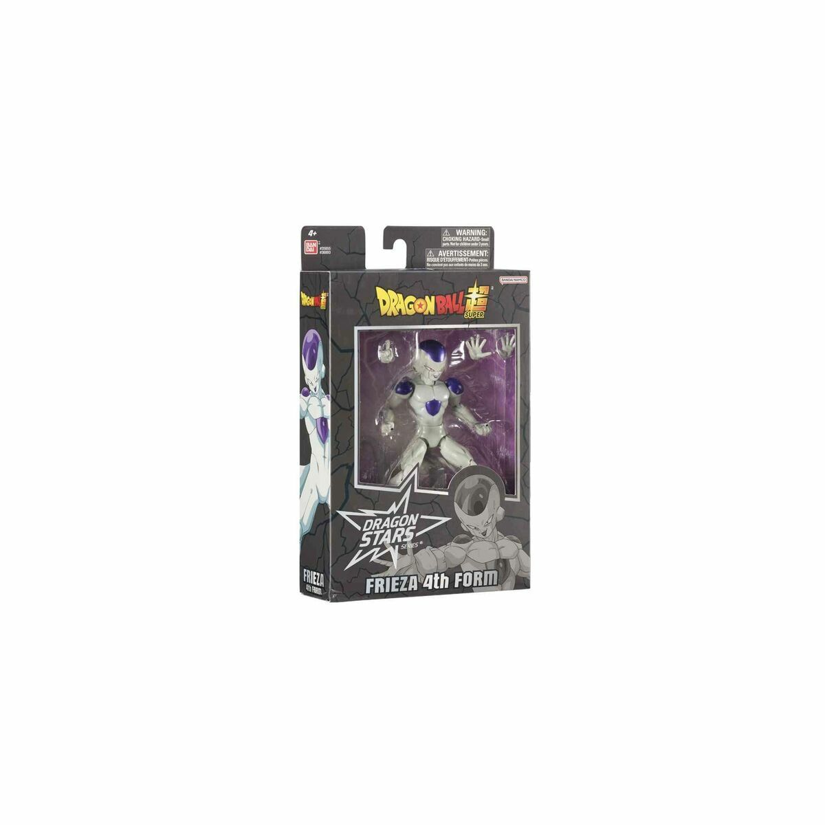 V6HFB75250D28080D2AD4550C010E07D749R6268187P2