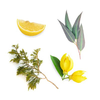 Spray de exteriores TerraShield doTERRA