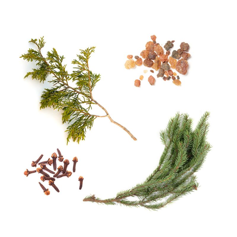 Blend florestal Northern escape doTERRA - 5 ml