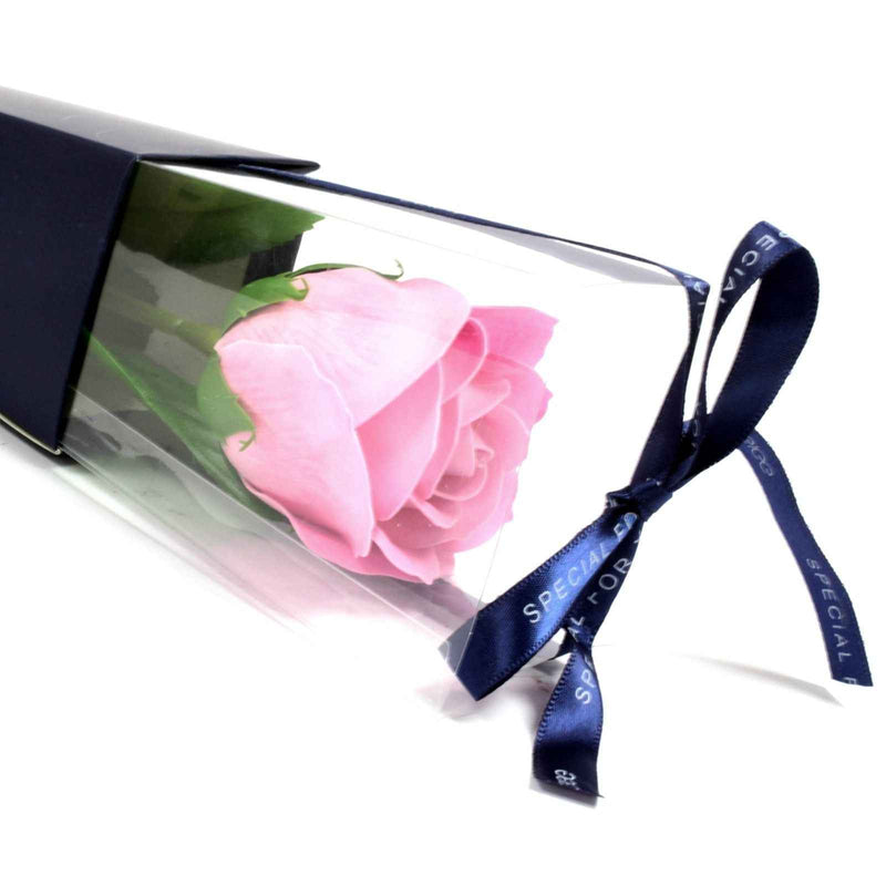 Rosa de Sabão Cor-de-Rosa