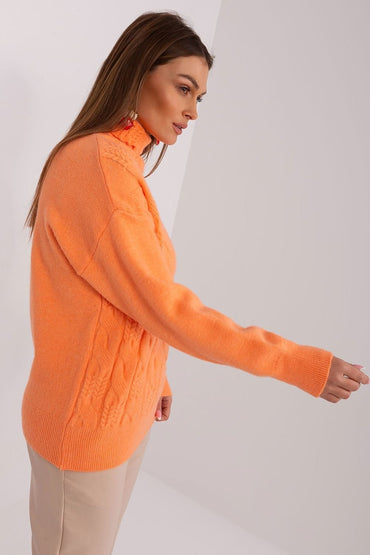 Turtleneck model 189887