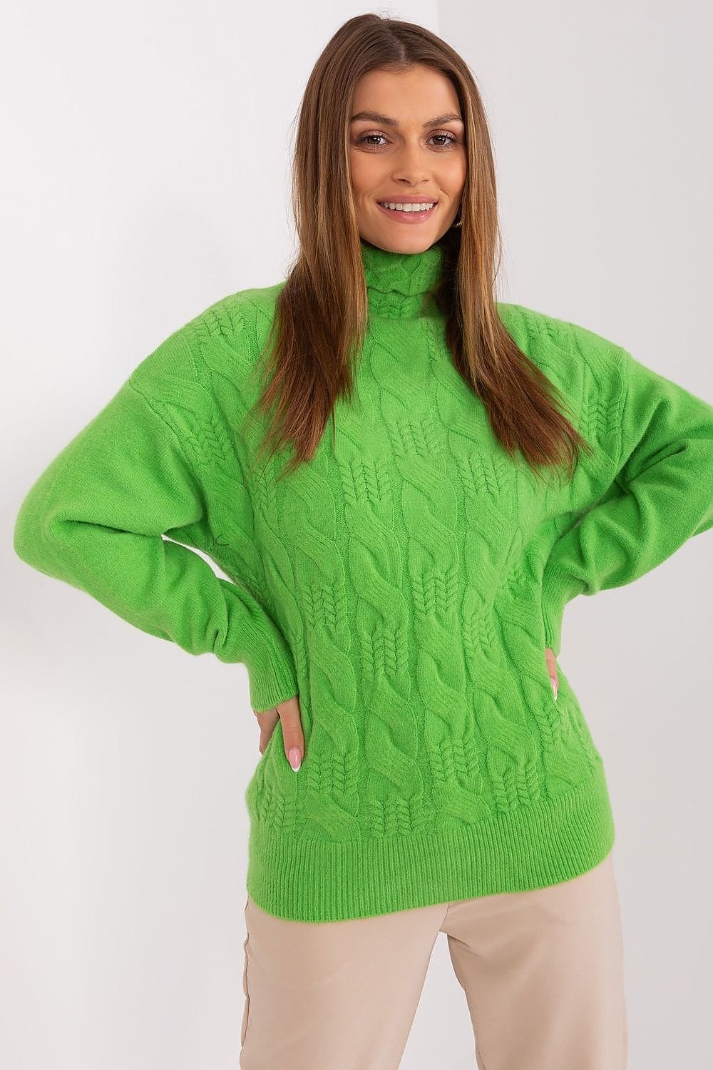 Turtleneck model 189893