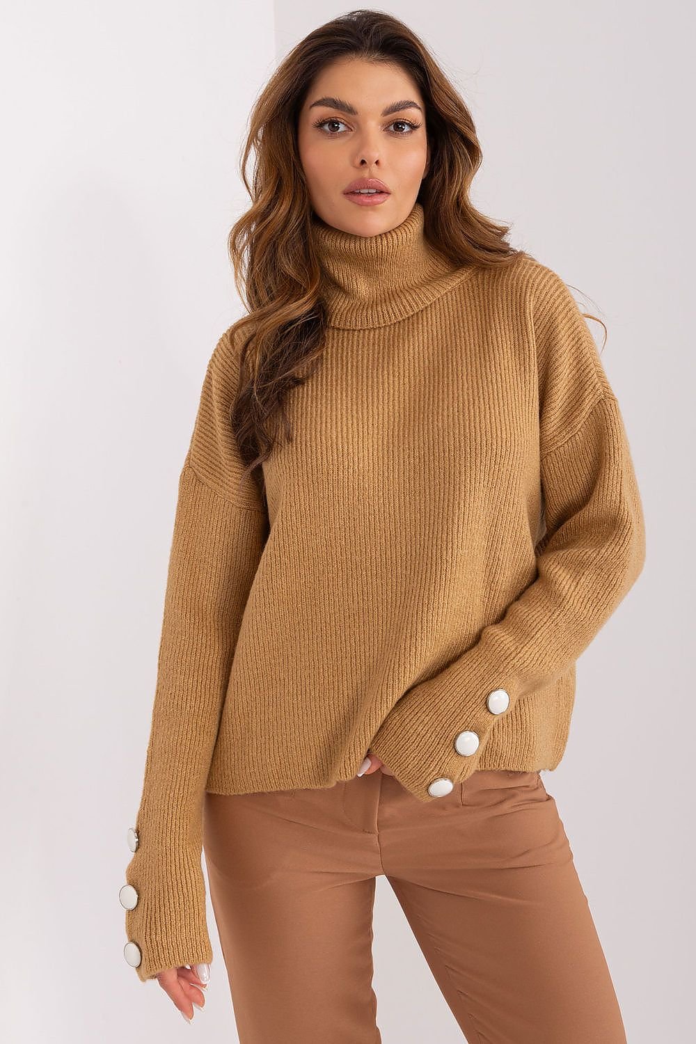 Turtleneck model 190221