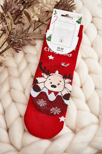 Socks model 190411