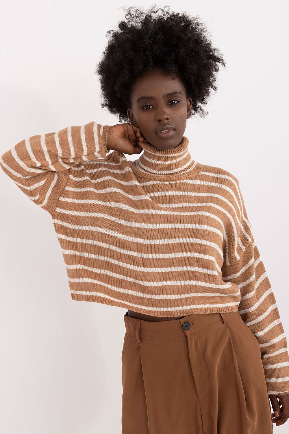 Turtleneck model 199109