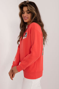 Sweatshirt model 199209