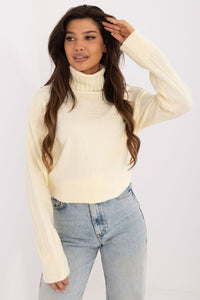 Turtleneck model 199437