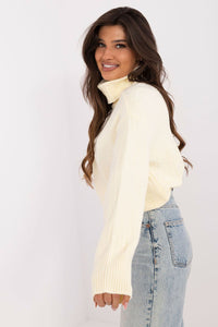 Turtleneck model 199437