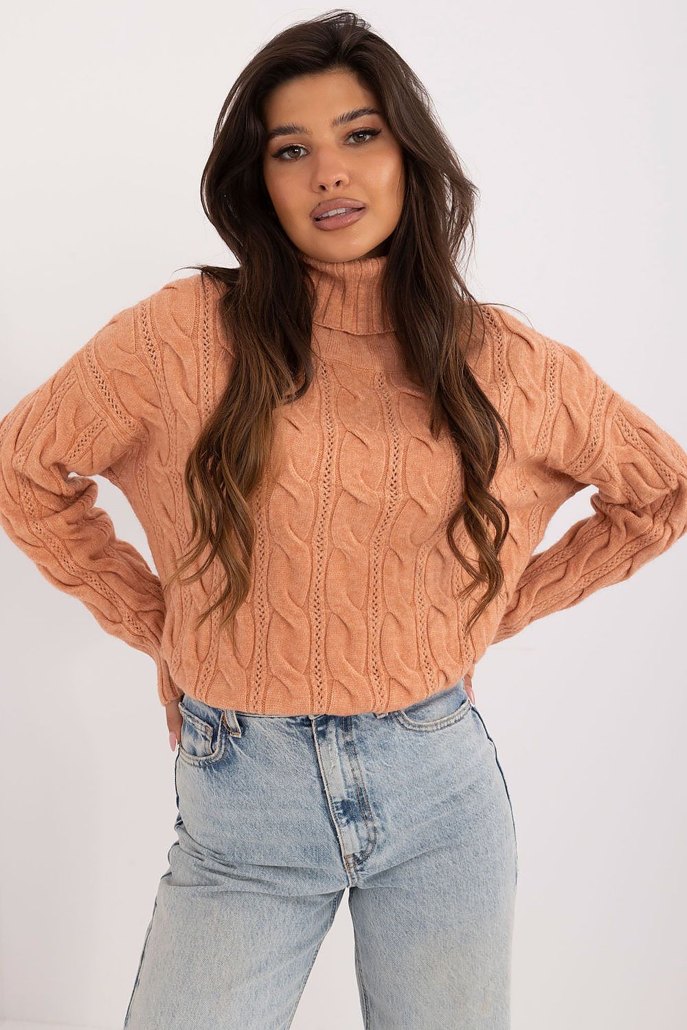 Turtleneck model 199442