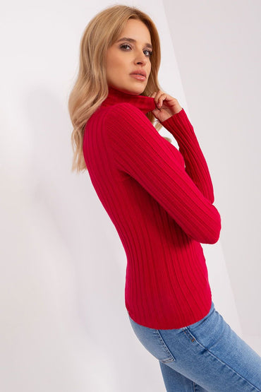 Turtleneck model 203015