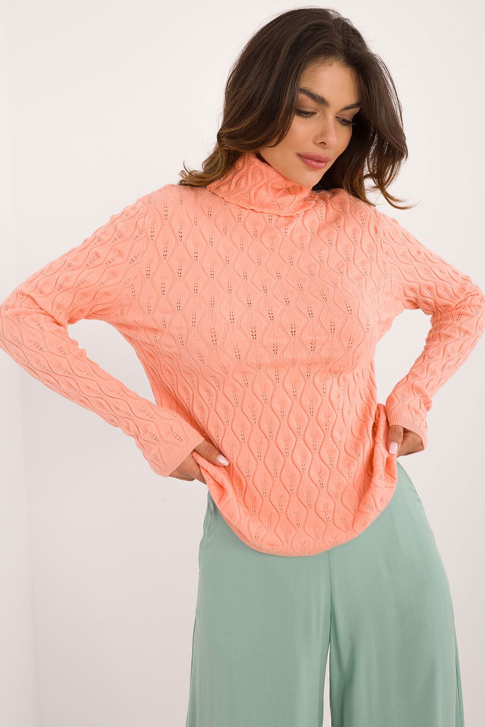 Turtleneck model 203189