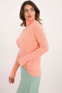 Turtleneck model 203189