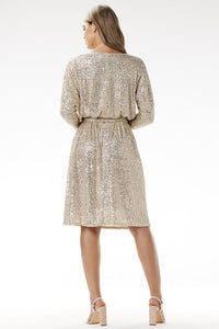 Evening dress model 204285