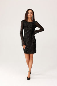 Evening dress model 204907