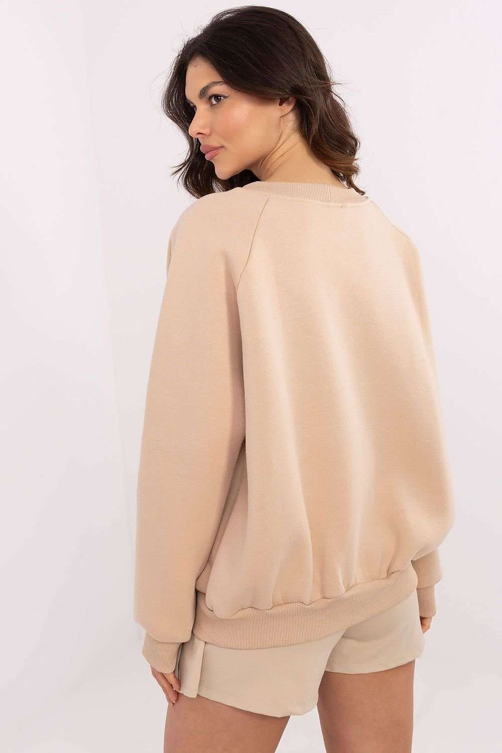 Sweatshirt model 206356