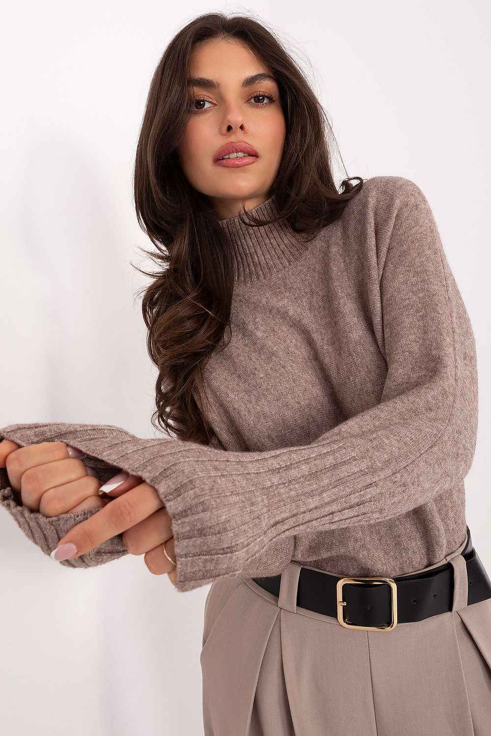 Turtleneck model 219895