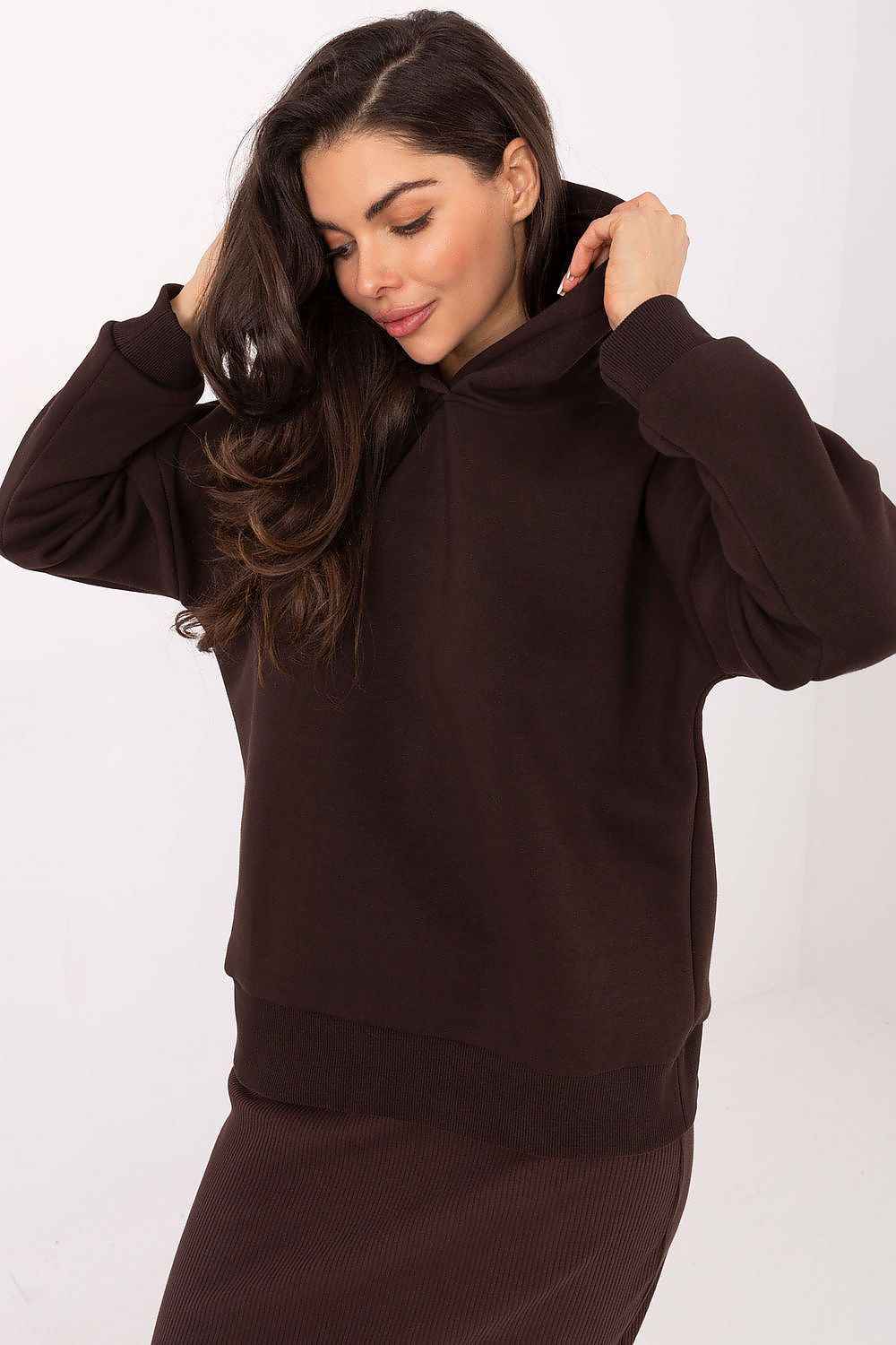 Sweatshirt model 220400