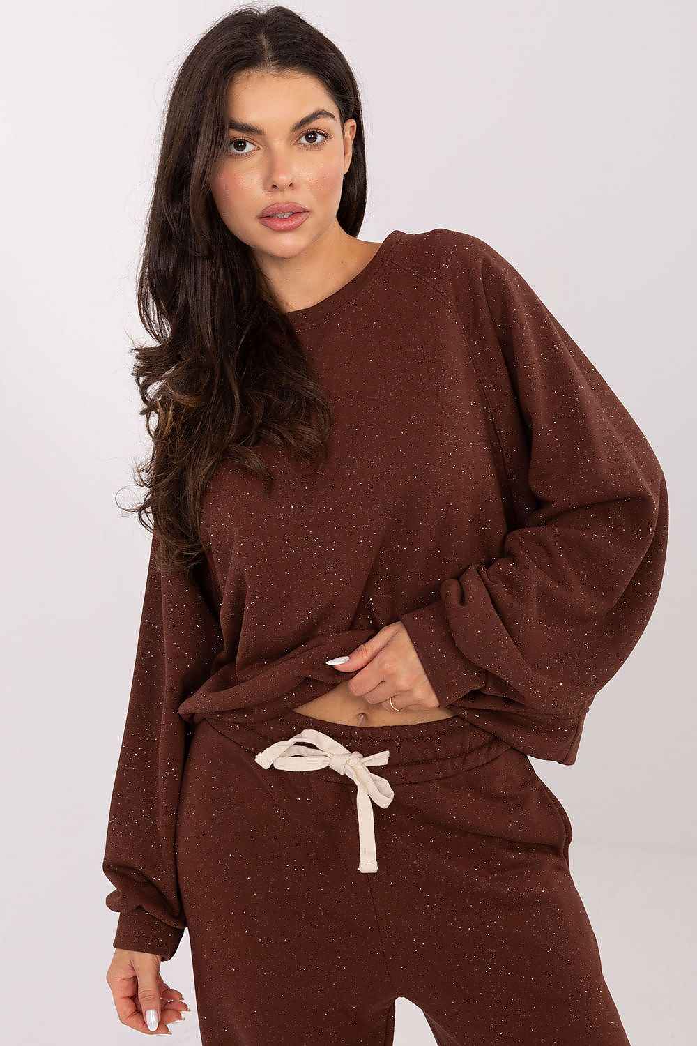 Sweatshirt model 220963