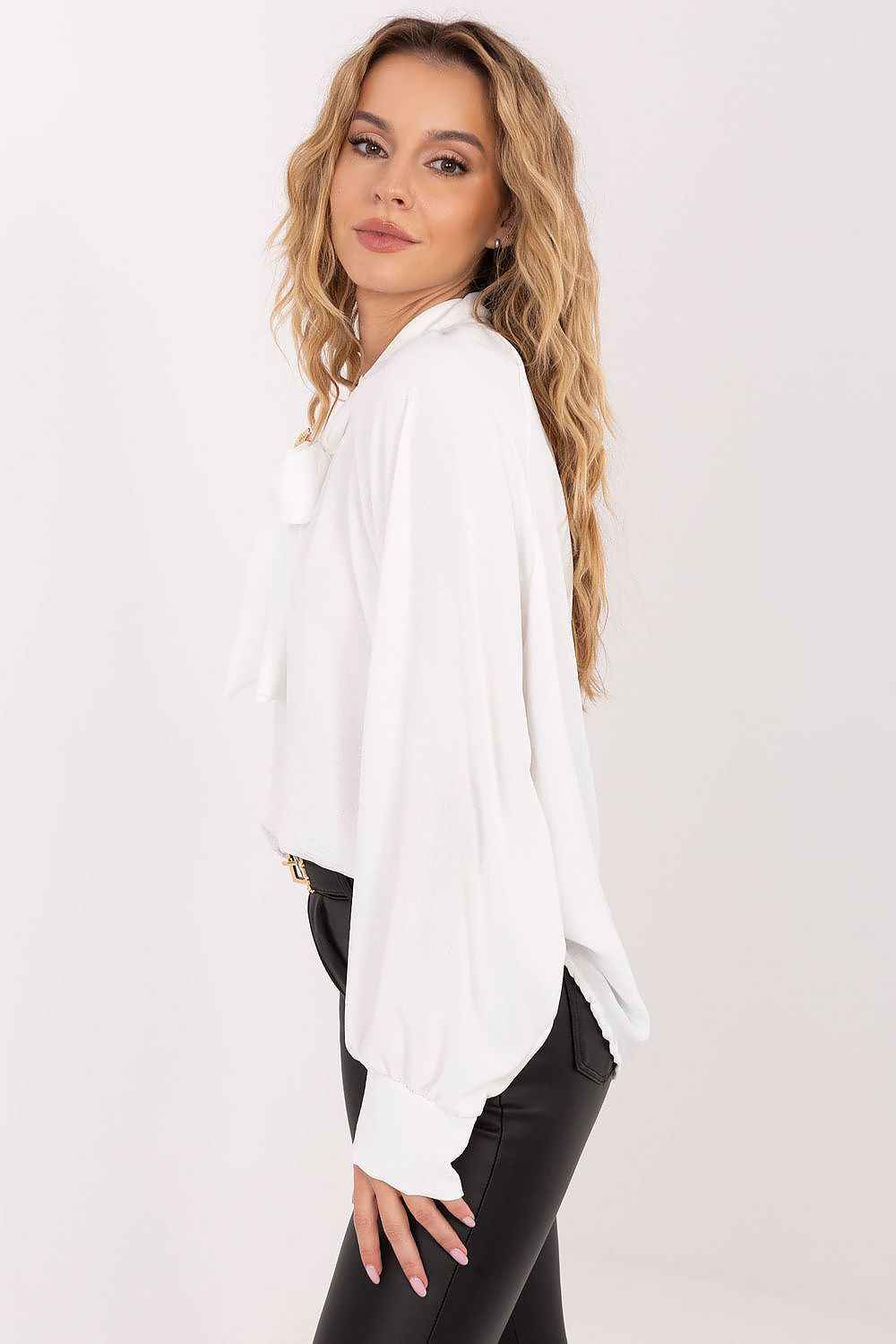 Blouse model 221060
