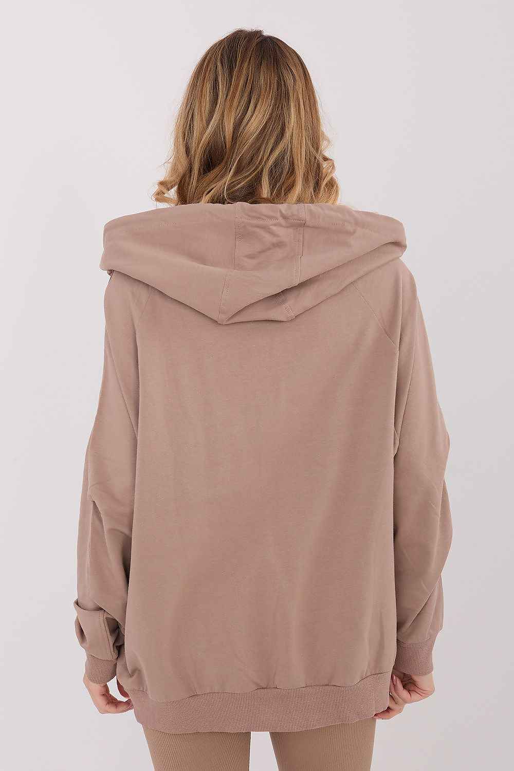 Sweatshirt model 221743