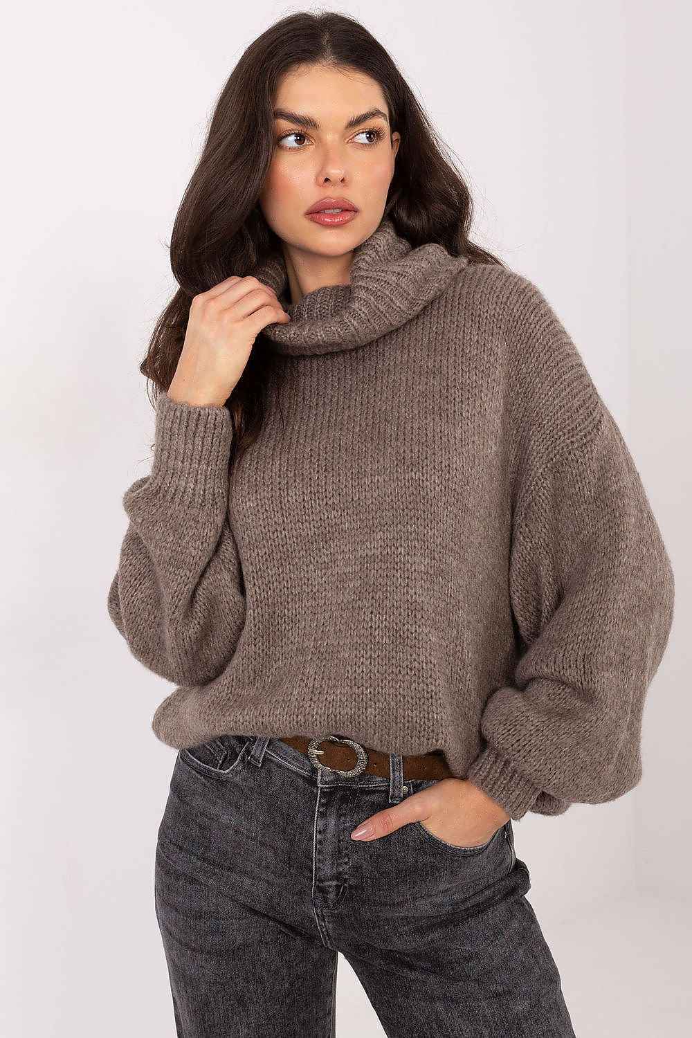 Turtleneck model 221853