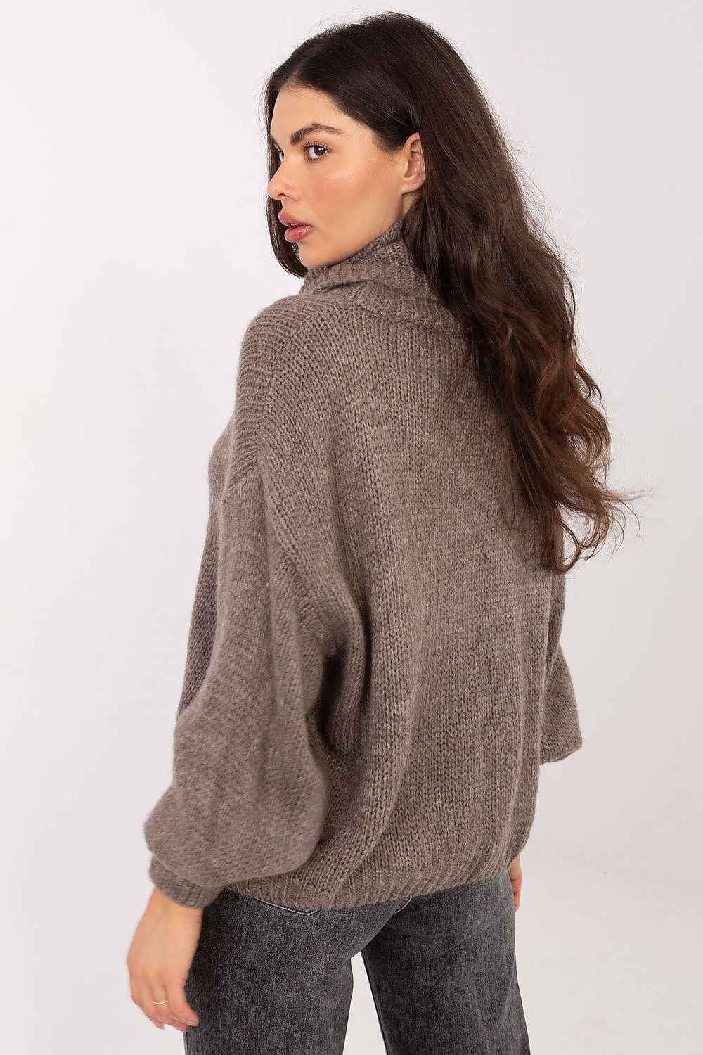 Turtleneck model 221853