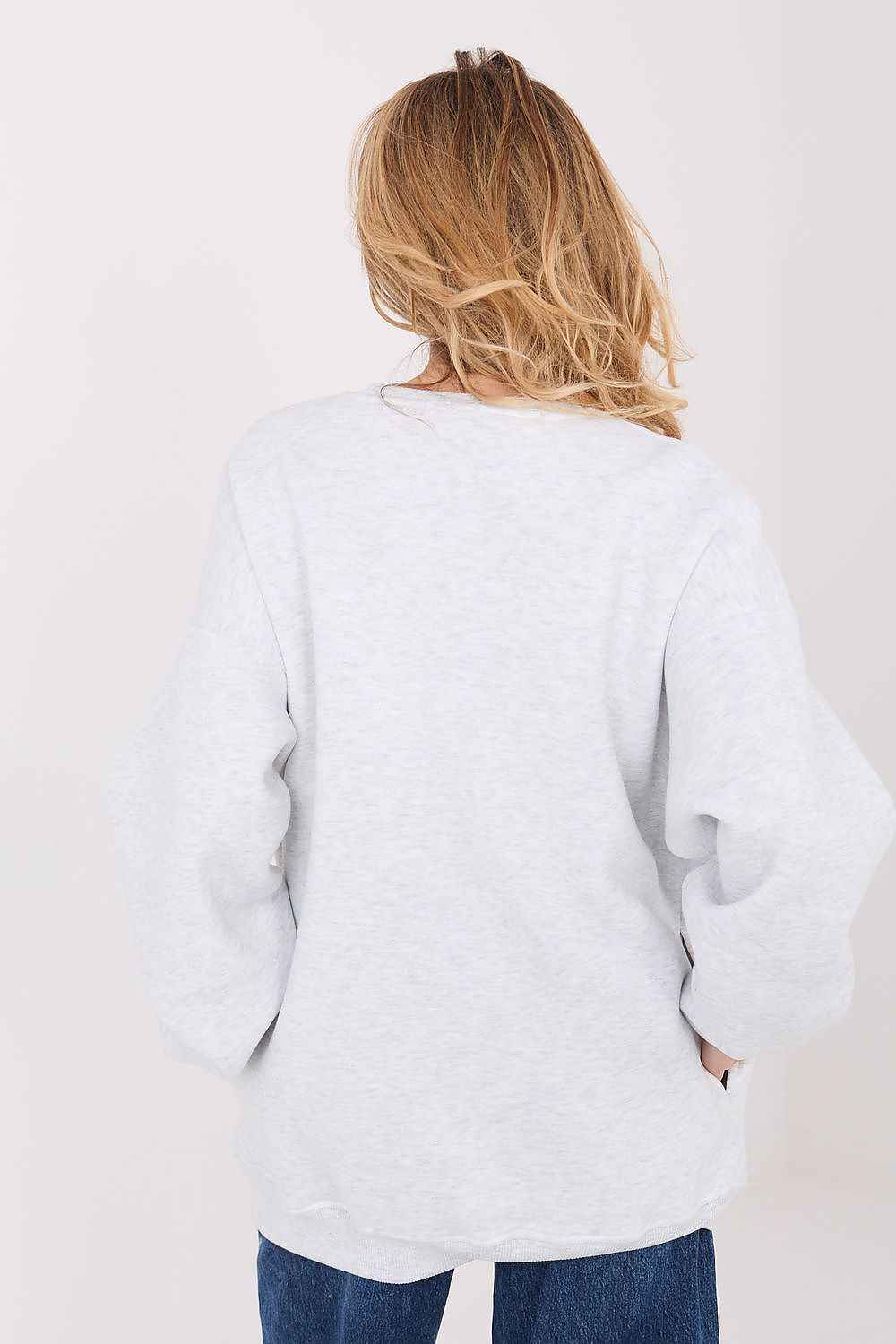 Sweatshirt model 222491