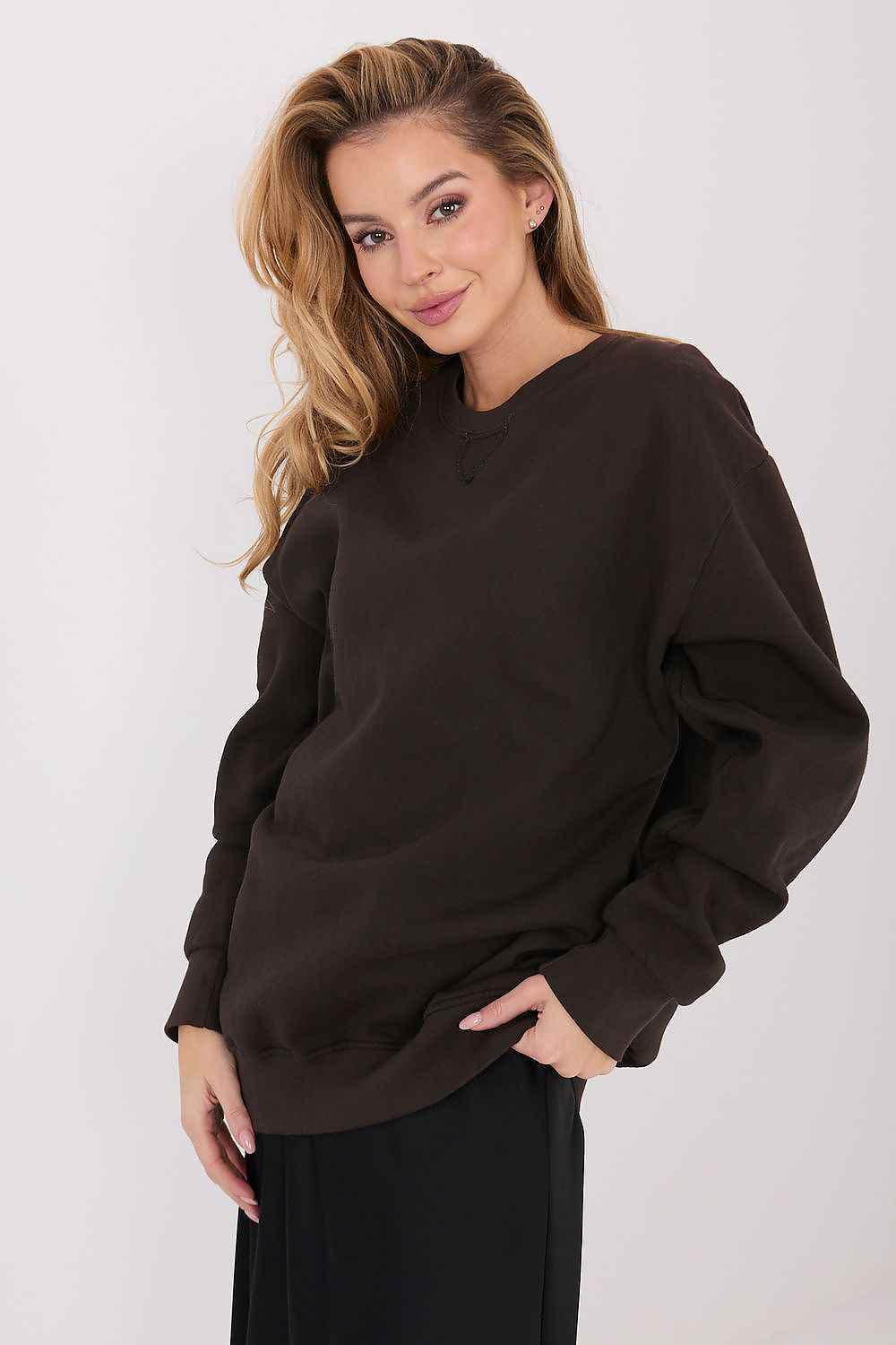 Sweatshirt model 222501