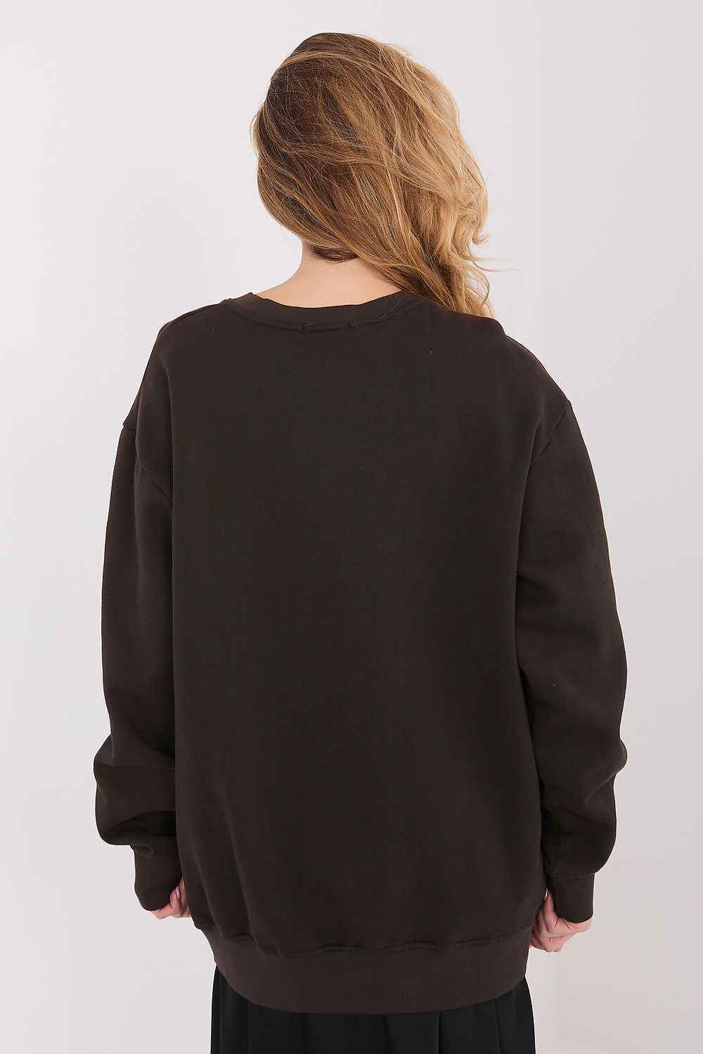 Sweatshirt model 222501