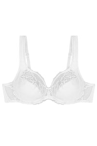  Soft model 229104 Triumph 