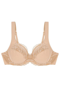  Soft model 229105 Triumph 