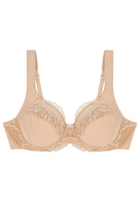  Soft model 229106 Triumph 