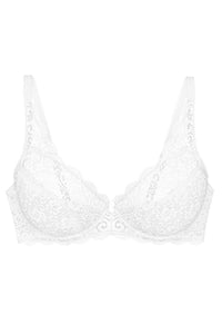  Soft model 229122 Triumph 
