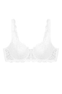  Soft model 229348 Triumph 