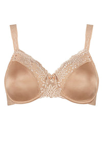  Soft model 229359 Triumph 