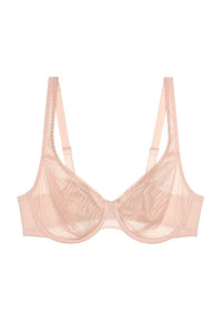  Soft model 229367 Triumph 